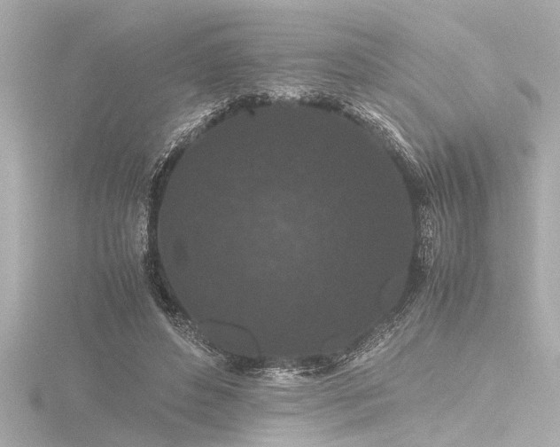 X0000116760496200912171438