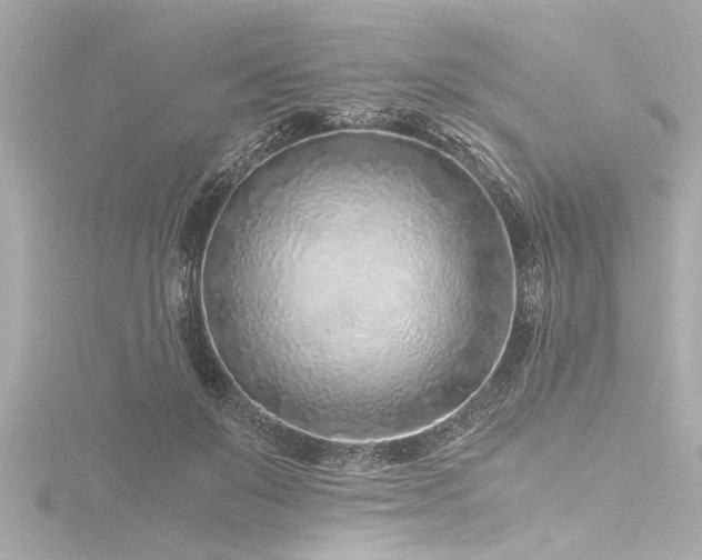 X0000116760503200912171438