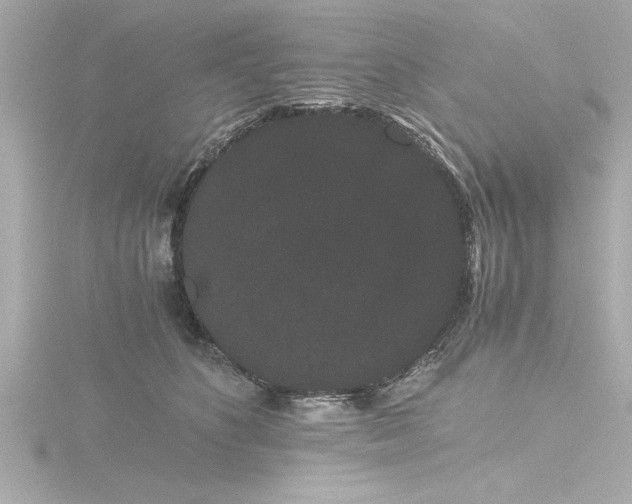 X0000116760516200912171438