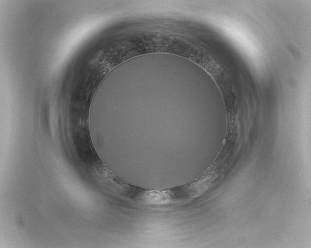 X0000116760526200912171438