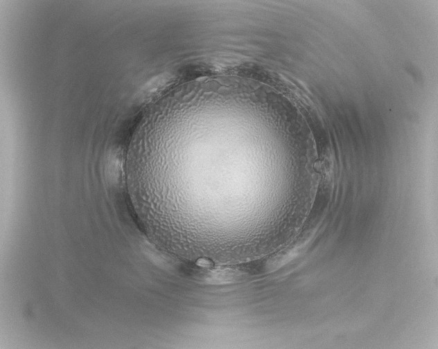 X0000116760527200912171438