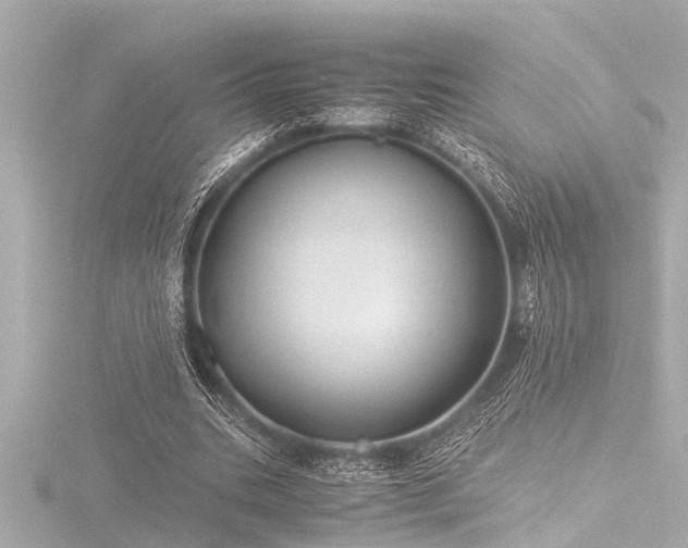 X0000116760535200912171437
