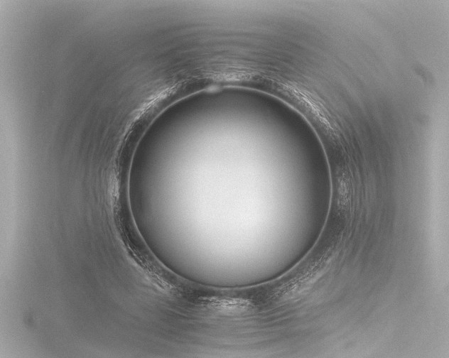 X0000116760539200912171437