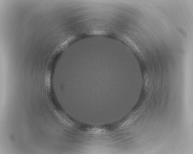 X0000116760542200912171437