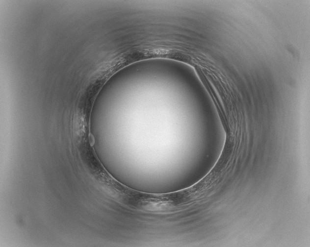 X0000116760555200912171438