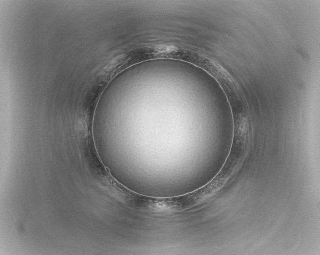 X0000116760565200912171438