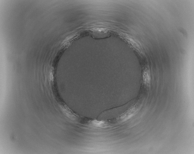 X0000116760570200912171438