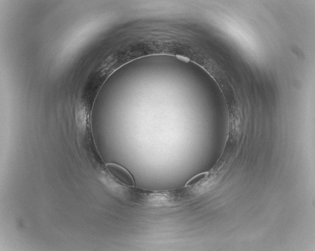 X0000116760574200912171438