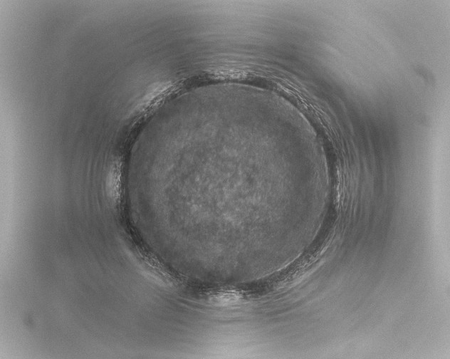 X0000116760600200912171437