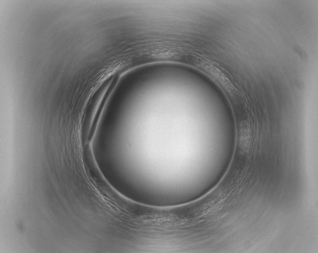 X0000116760626200912171436