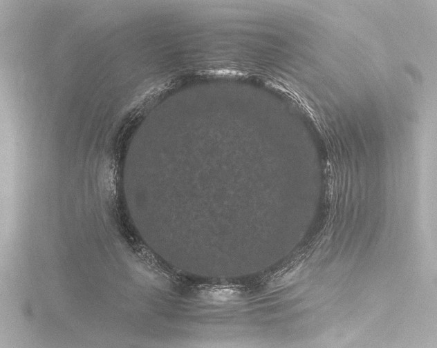 X0000116760643200912171436