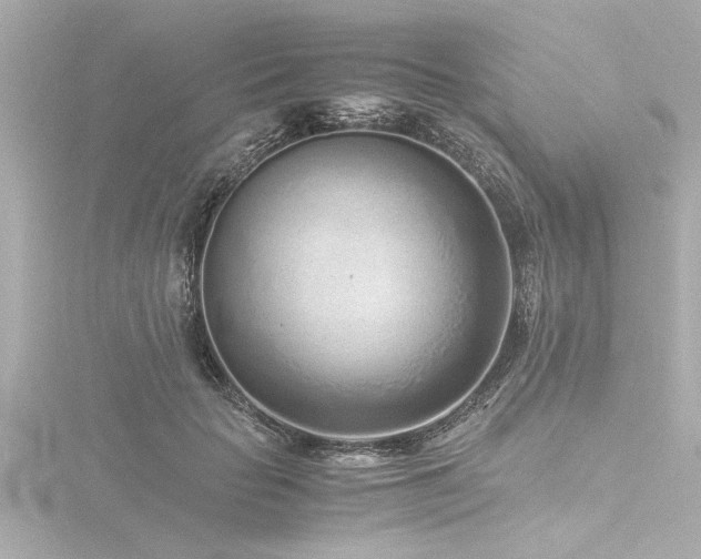 X0000116760653200912171436