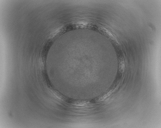 X0000116760661200912171437
