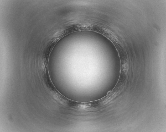 X0000116760662200912171437