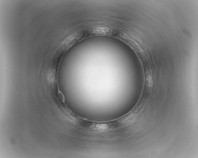 X0000116760665200912171437
