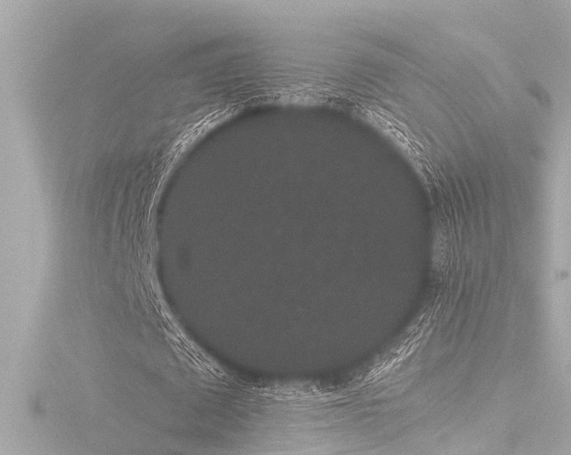 X0000116760673200912171436