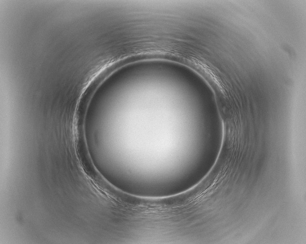 X0000116760676200912171436