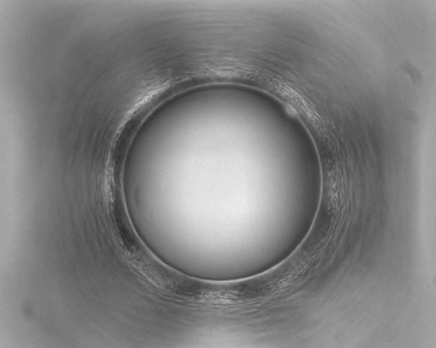 X0000116760680200912171436