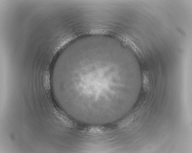 X0000116760684200912171436
