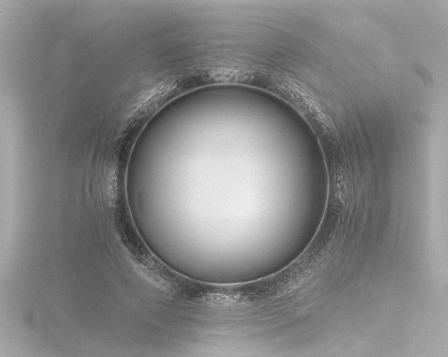 X0000116760690200912171436