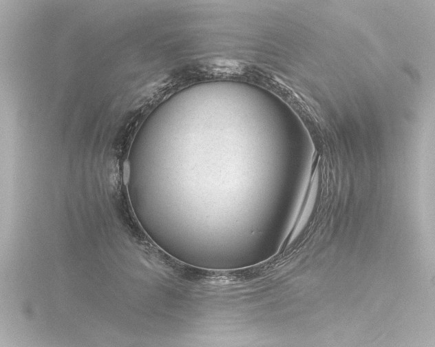 X0000116760704200912171436