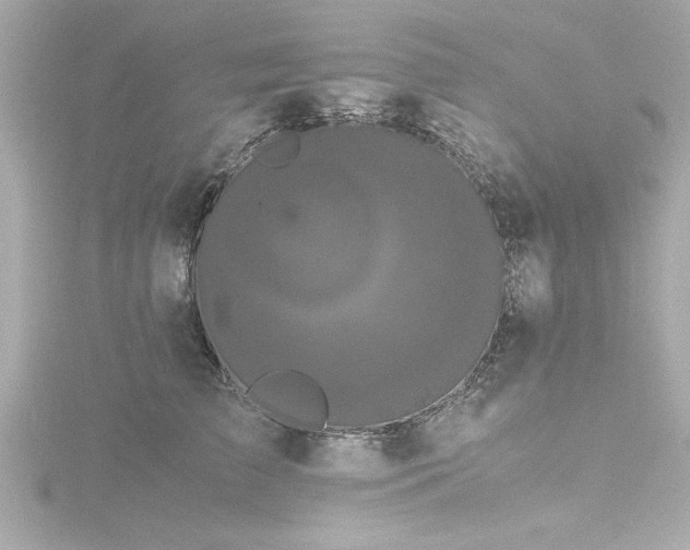 X0000116760709200912171435