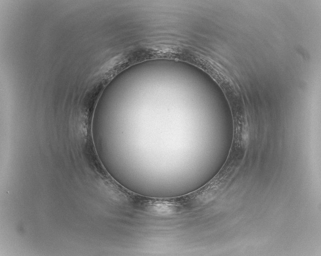 X0000116760710200912171435