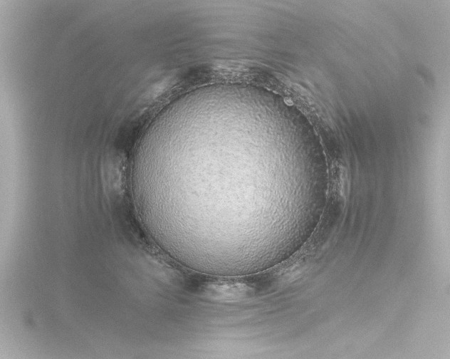 X0000116760712200912171435