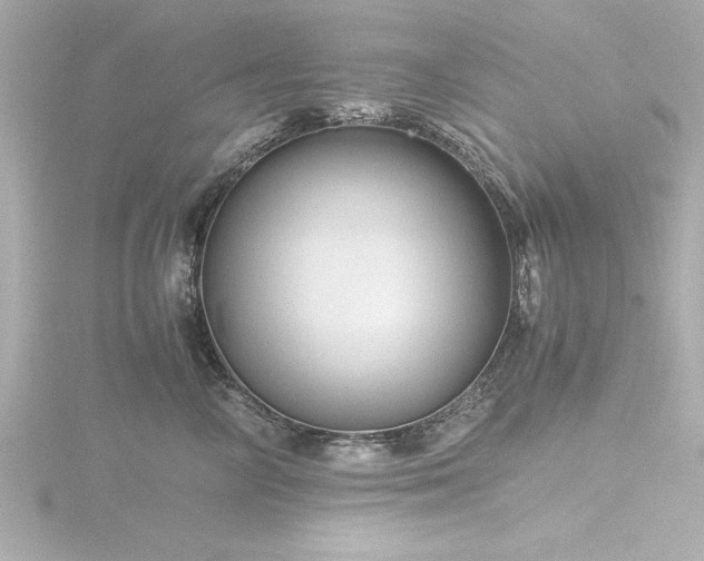 X0000116760714200912171435