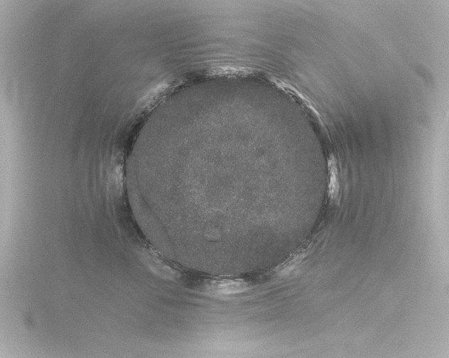 X0000116760716200912171435