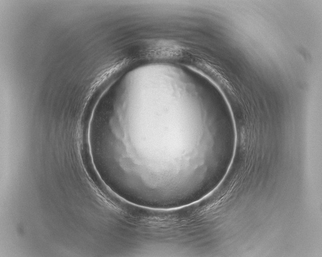 X0000116760725200912171435