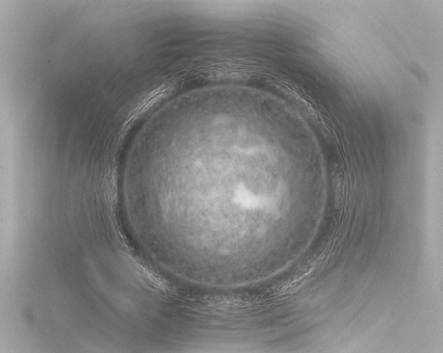 X0000116760729200912171435