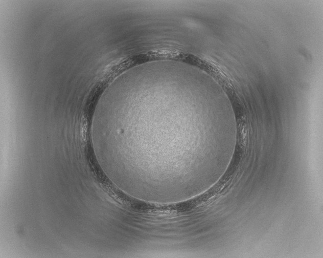 X0000116760745200912171435