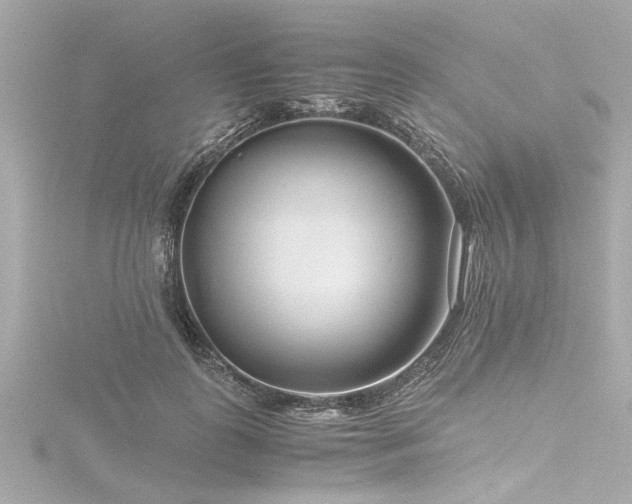 X0000116760747200912171435
