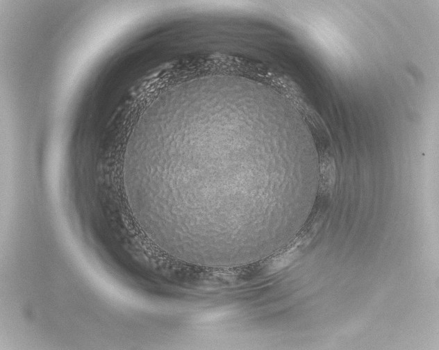 X0000116760765200912171435