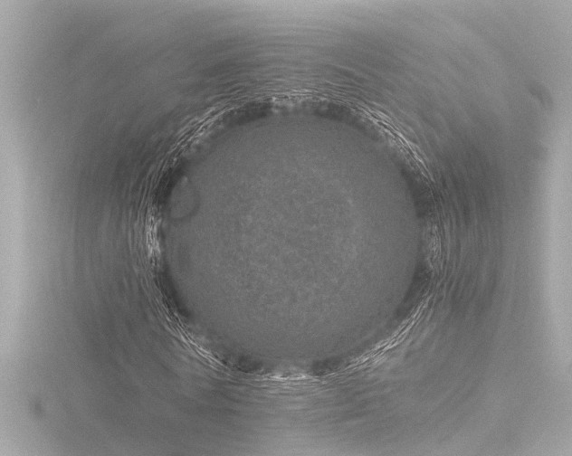X0000116760770200912171435