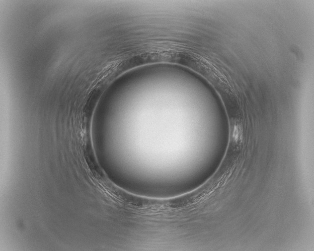 X0000116760771200912171435