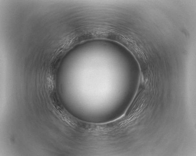 X0000116760772200912171435