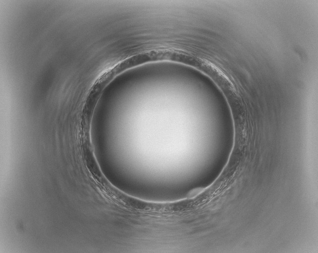 X0000116760775200912171435