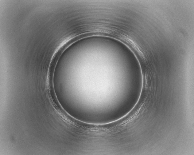 X0000116760780200912171435