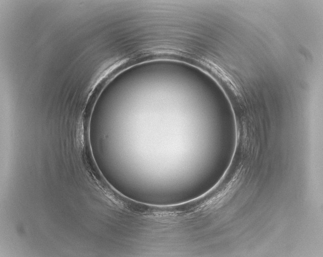 X0000116760782200912171435
