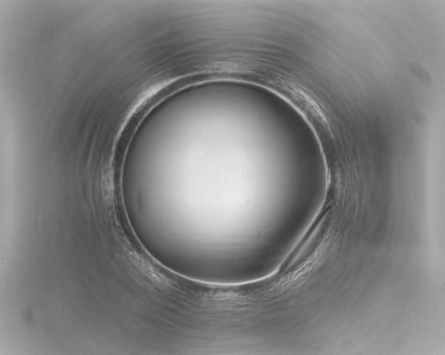 X0000116760784200912171435