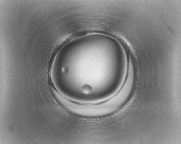 X0000116760785200912171435