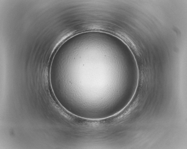 X0000116760798200912171434