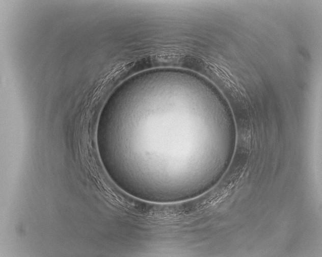 X0000116760817200912171434