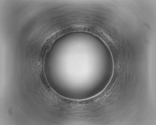 X0000116760821200912171434