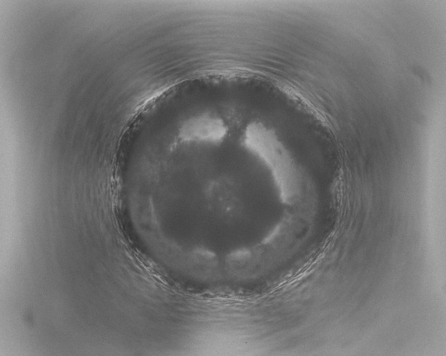 X0000116760822200912171434