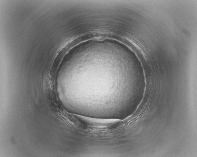 X0000116760823200912171434