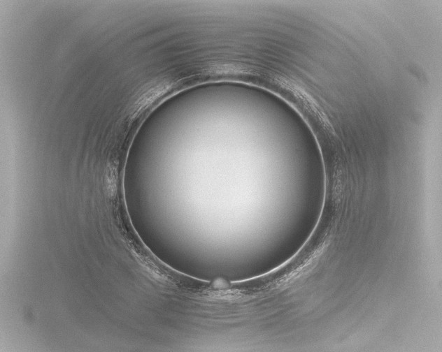 X0000116760833200912171434