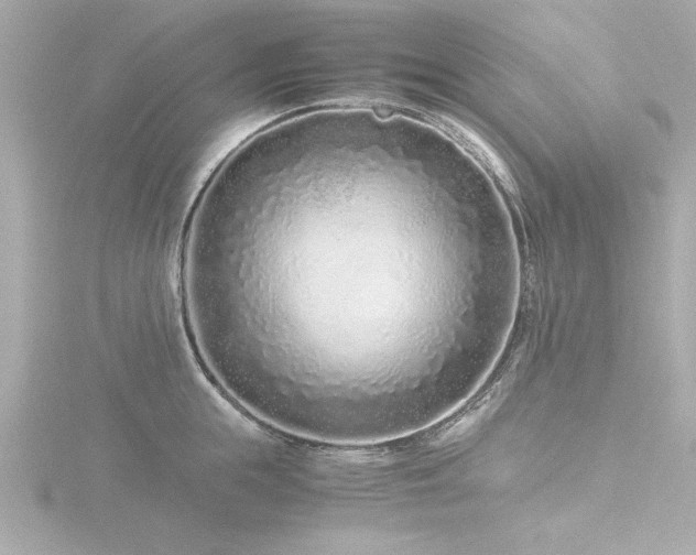 X0000116760855200912171434